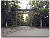 Torii at Meiji Jingû shrine